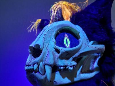 UV skull cat